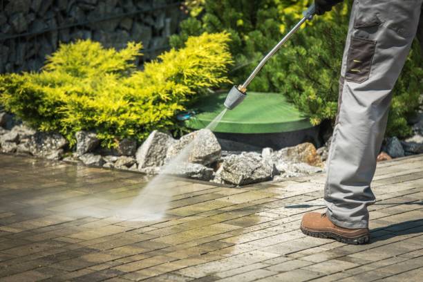 Best Roof Washing  in South Pottstown, PA