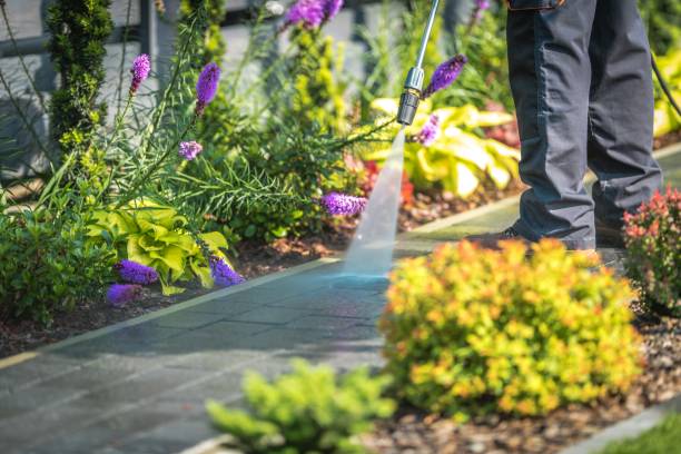 Best Boat and Dock Cleaning  in South Pottstown, PA